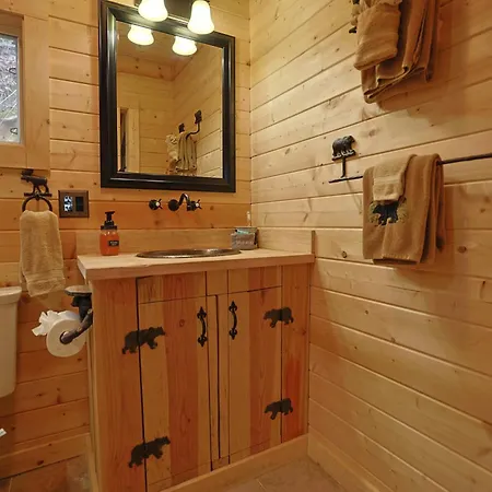 Couple Retreat Cabin-Near Smoky Mountain Railroad-Hot Tub Bryson City Exterior photo